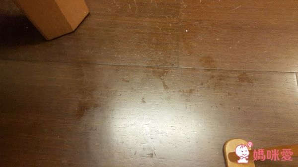 日本原裝 LEC激落君 掃除系列