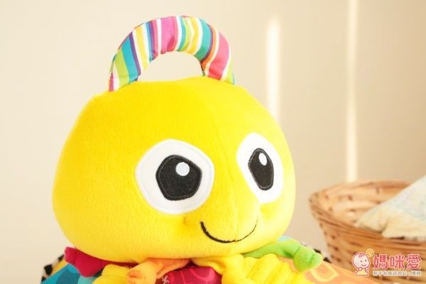 音感八爪章魚 (盒裝)