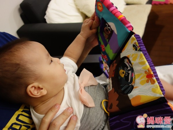 2 way 發現可愛動物形狀