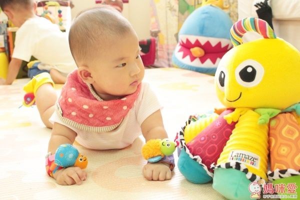 音感八爪章魚 (盒裝)