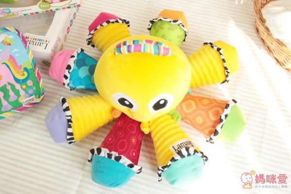 音感八爪章魚 (盒裝)