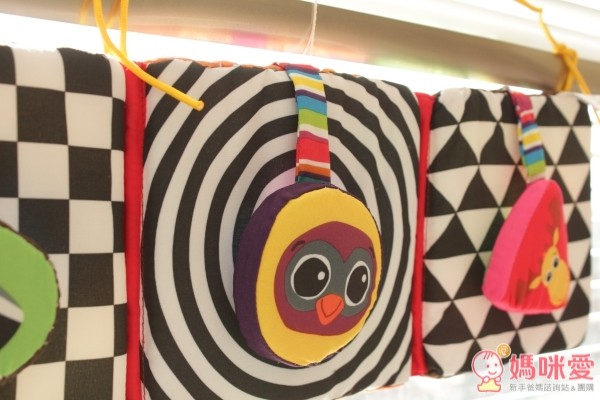 2 way 發現可愛動物形狀