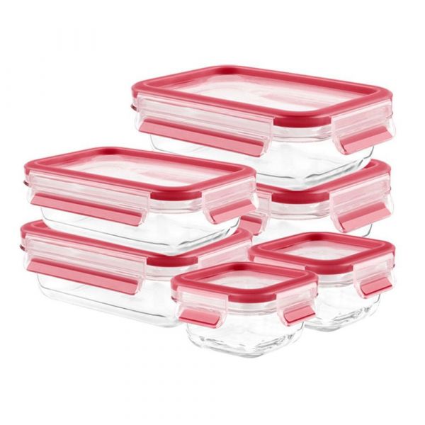 原德國EMSA  MasterSeal 無縫玻璃保鮮盒 / Tefal 法國特福 不沾平底鍋/炒鍋