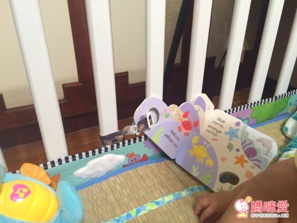 英國little me英文童書,硬紙書,洗澡書,洞洞書,禮盒組