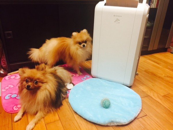 HITACHI 日立自動適濕環保除濕機