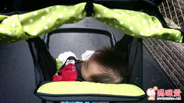 Zoe T11 Urban輕量嬰幼兒手推車