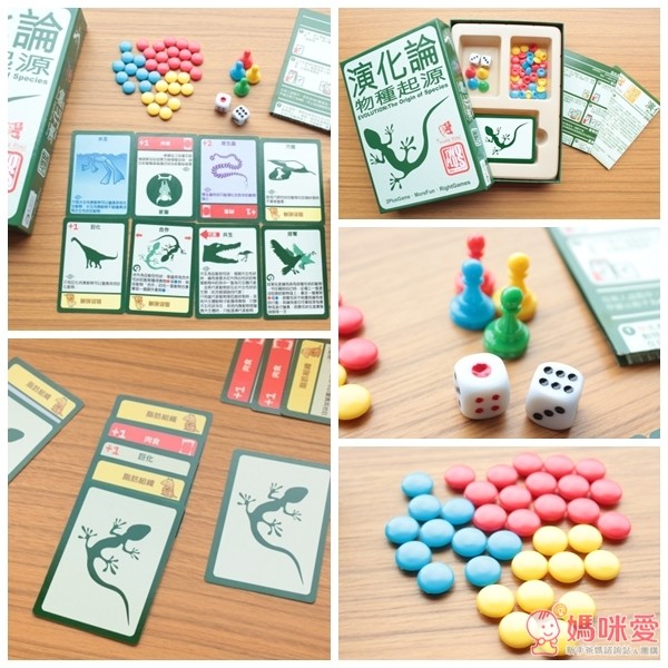 2plus桌遊演化論