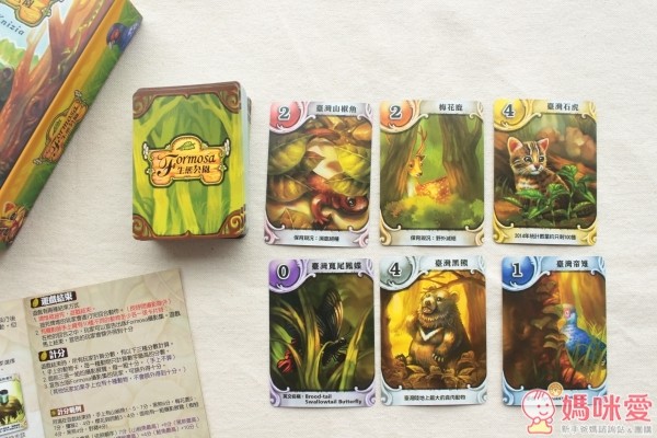 2plus桌遊生態動物