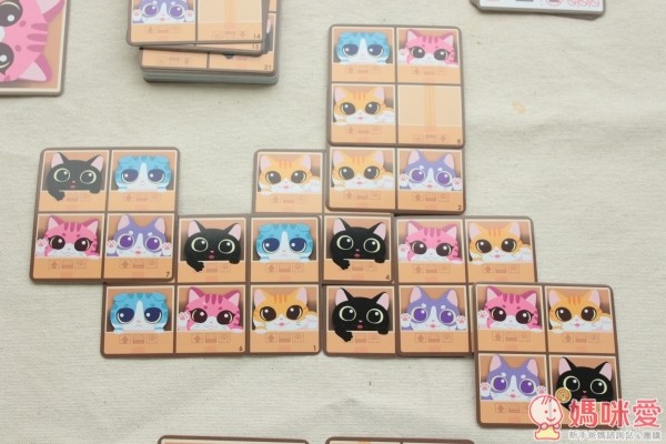 2plus桌遊紙箱貓