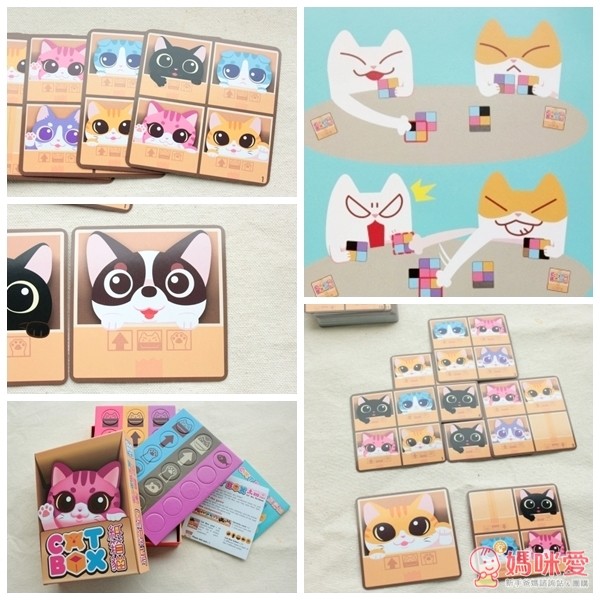 2plus桌遊紙箱貓