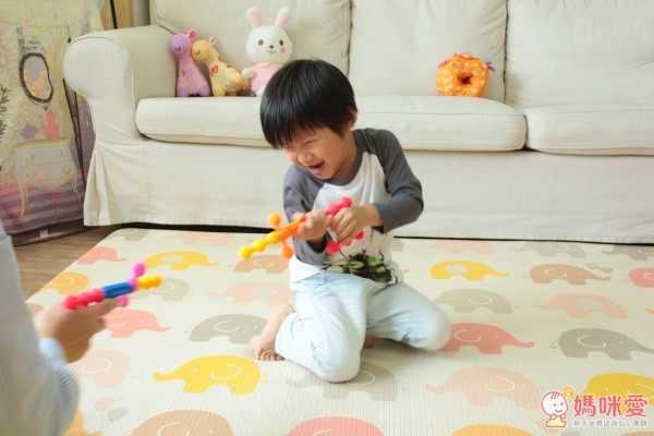 interstar 以色列星球建構積木