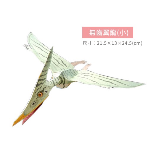 ➤ 無齒翼龍(小)