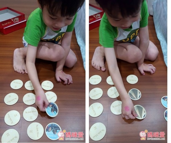 Hape小王子系列玩具 / 童書