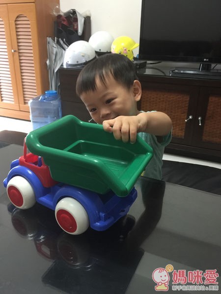 VIKINGTOYS 維京玩具