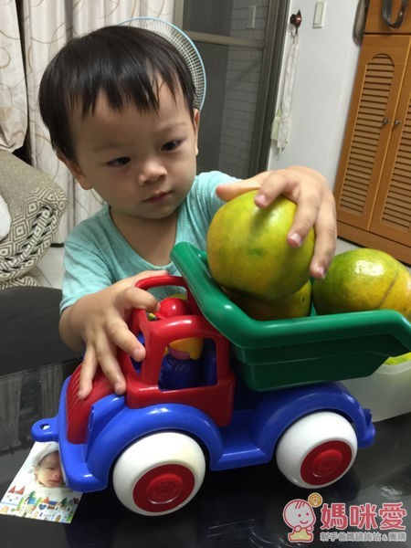 VIKINGTOYS 維京玩具