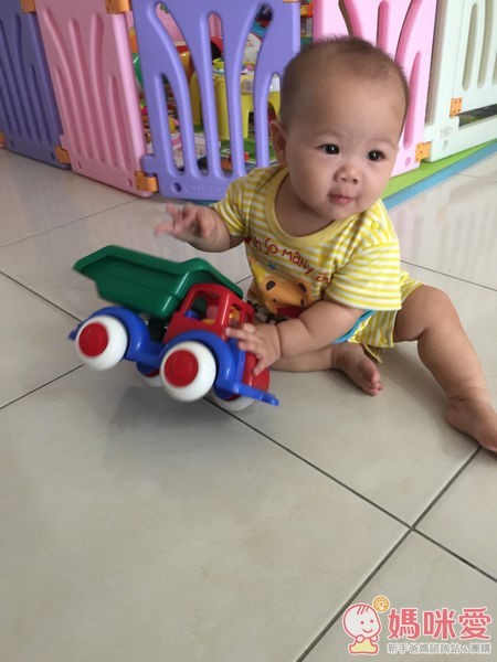 VIKINGTOYS 維京玩具