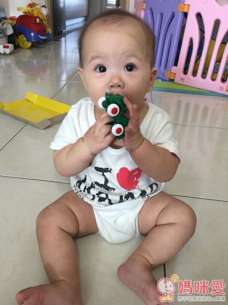 VIKINGTOYS 維京玩具