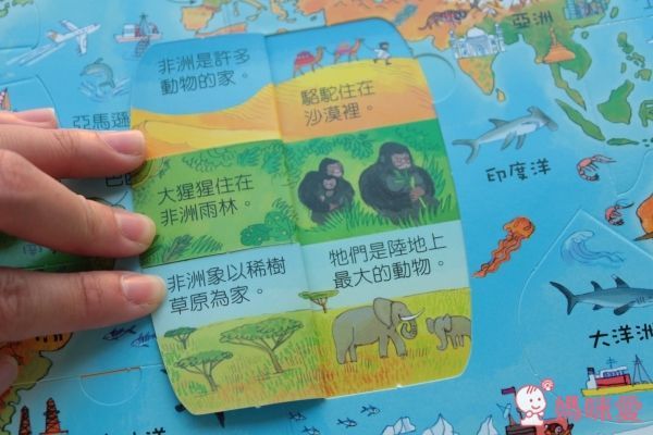 【 臺灣麥克 Look Inside 】♔ 暢銷翻翻書