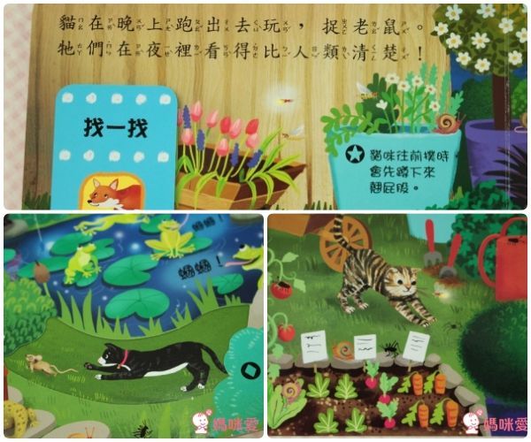 平台最優惠★英國 Campbell Busy 好棒系列操作書 中文版♫眾多媽咪好評推薦!