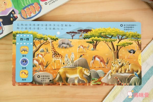 平台最優惠★英國 Campbell Busy 好棒系列操作書 中文版♫眾多媽咪好評推薦!