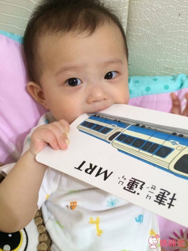 視覺圖卡-1歲baby交通工具圖卡-盒裝