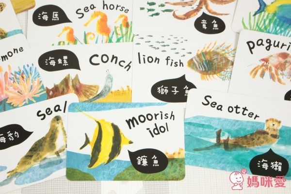 視覺圖卡-海洋動物圖卡-盒裝