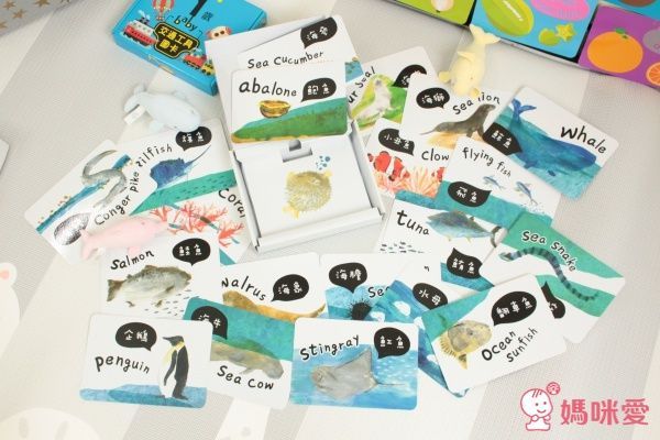視覺圖卡-海洋動物圖卡-盒裝