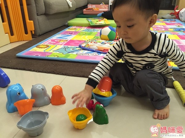 Tolo 動物保齡球組