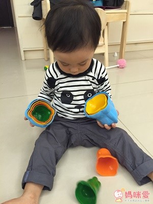 Tolo 動物保齡球組