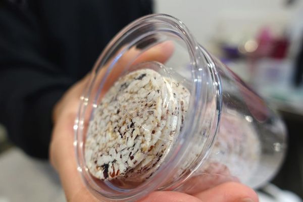 PRIZE派姿 原味米餅 / 爆米片☆百位媽咪好評