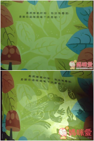 光影魔術操作書 / 透視互動百科系列