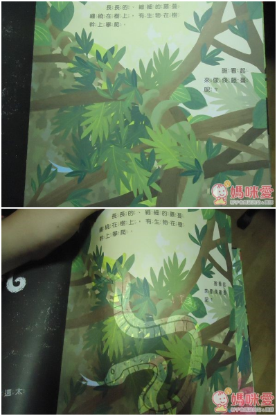 光影魔術操作書 / 透視互動百科系列