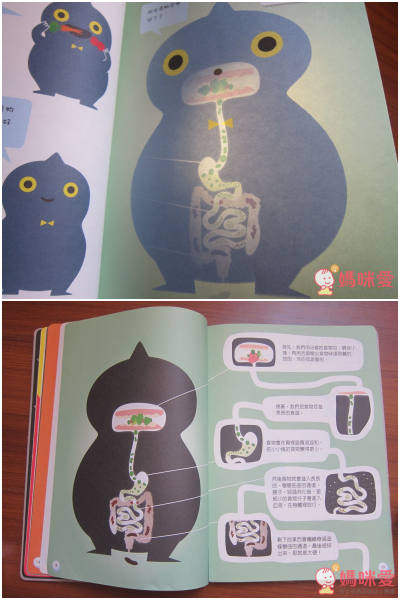 光影魔術操作書 / 透視互動百科系列