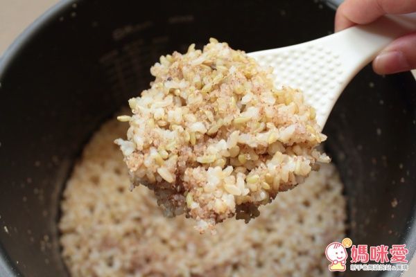 愛沙尼亞森林 高纖綜合穀粉 / 食在加分 韃靼蕎麥系列產品