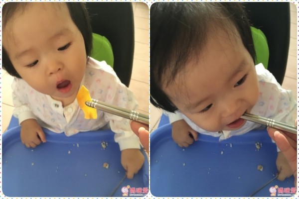 Princess 荷蘭公主 迷你四杯食物調理機【220500】能方便媽咪大量切絲、切片、絞碎也不會手痠唷!