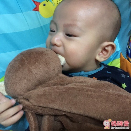 Angel Dear 大頭動物嬰兒安撫毛毯