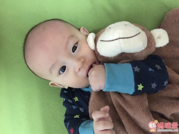 美國 Angel dear 安撫巾