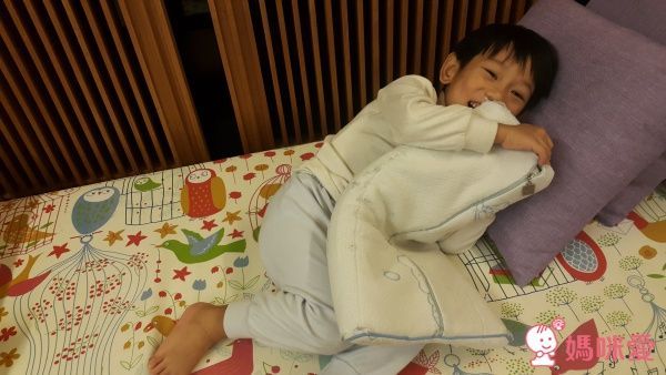 【品諾 PINOH】多功能蒸汽拖把 / 手持清潔器