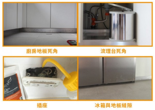 Earth Friend 蟲蟲粉，完全天然無毒的成分，就算不小心吃到也不用擔心！驅趕螞蟻、蟑螂，或是毛小孩身上的壁蝨，都沒問題～