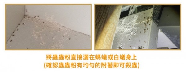 Earth Friend 蟲蟲粉，完全天然無毒的成分，就算不小心吃到也不用擔心！驅趕螞蟻、蟑螂，或是毛小孩身上的壁蝨，都沒問題～
