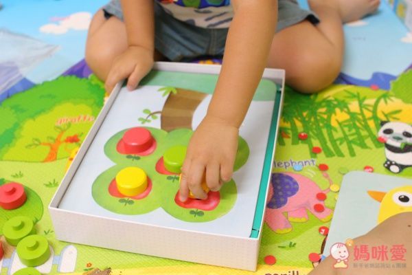 豆豆拼拼樂-2歲以上