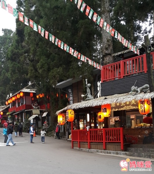 南投溪頭妖怪村 明山森林會館