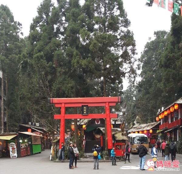 南投溪頭妖怪村 明山森林會館