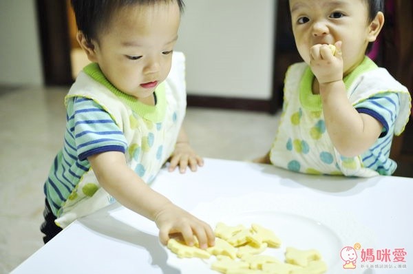 荷蘭公主真空密封包裝機