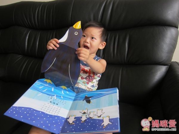 小寶寶驚奇大拉頁書-北極 學相反詞