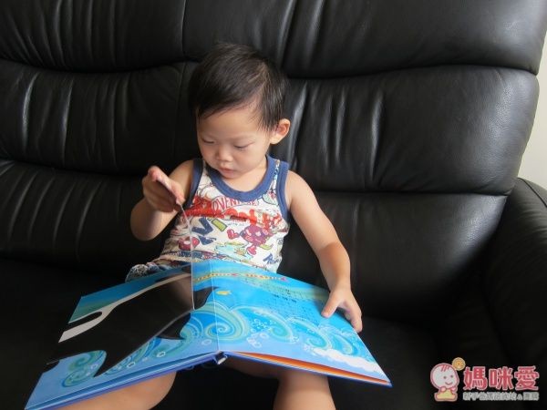 小寶寶驚奇大拉頁書-北極 學相反詞