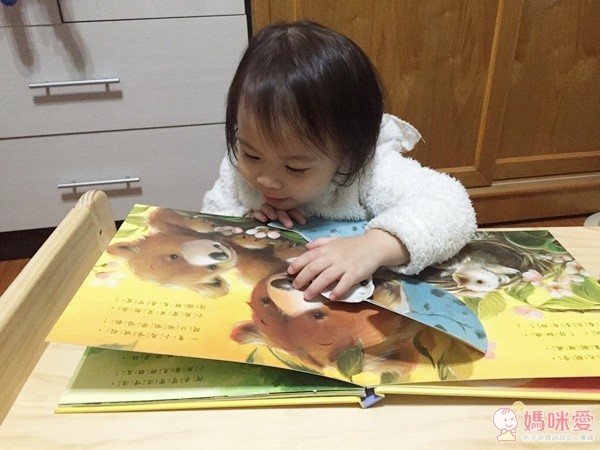 英國 Templar 的驚奇立體書