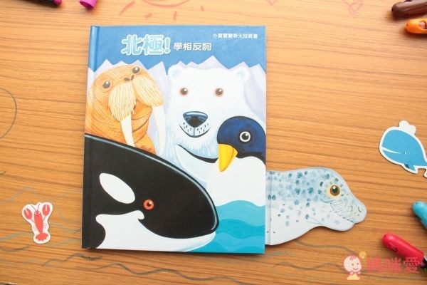 小寶寶驚奇大拉頁書-北極 學相反詞