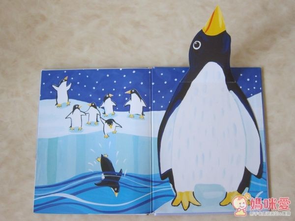 小寶寶驚奇大拉頁書-北極 學相反詞