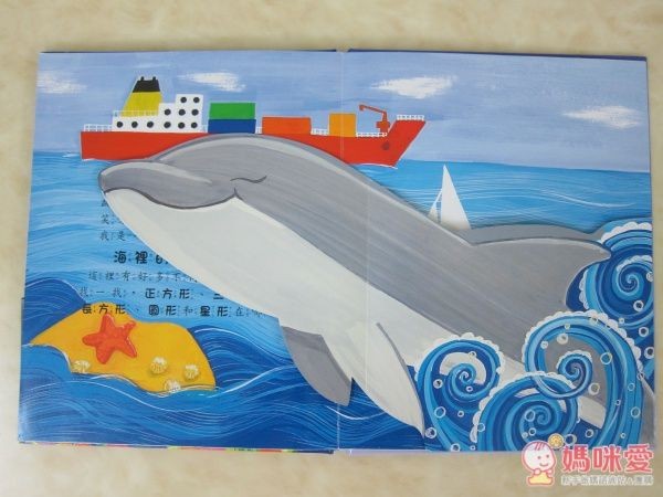 ✎小寶寶驚奇大拉頁書-海洋 基本概念